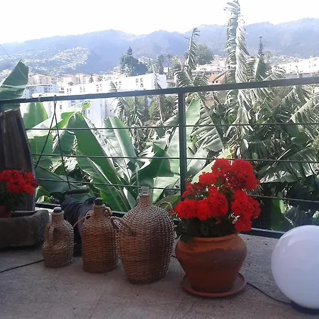 Cantinho Das Bananas * Funchal (Madeira)