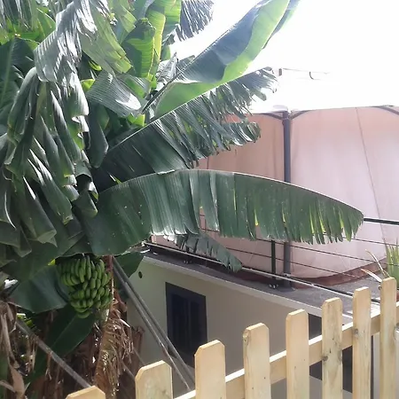 Cantinho Das Bananas