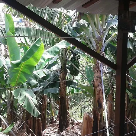Cantinho Das Bananas *