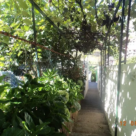 Casa de Férias Cantinho Das Bananas Funchal (Madeira)