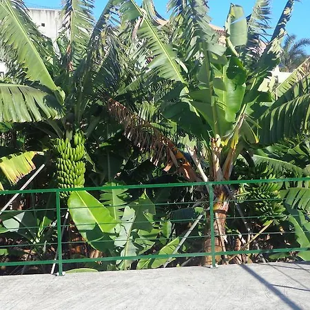 Feriehus Cantinho Das Bananas Funchal (Madeira)